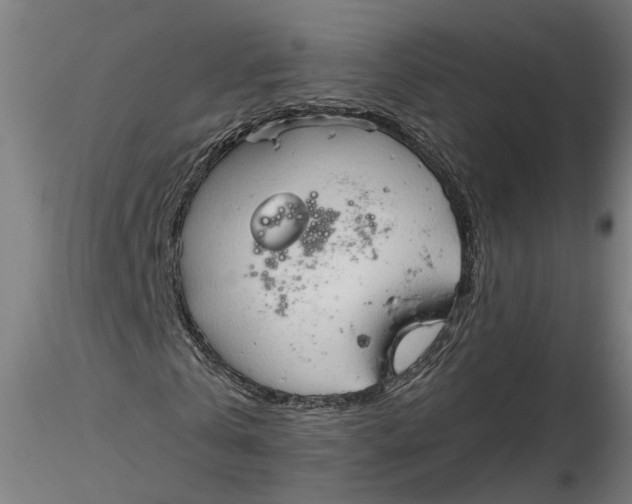 X0000116320769200912221358