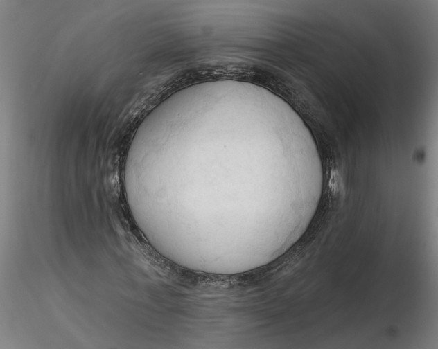 X0000116320771200912221358