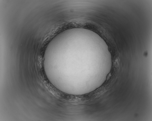 X0000116320772200912221358