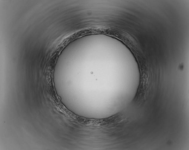 X0000116320773200912221358