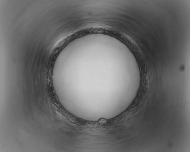 X0000116320775200912221358