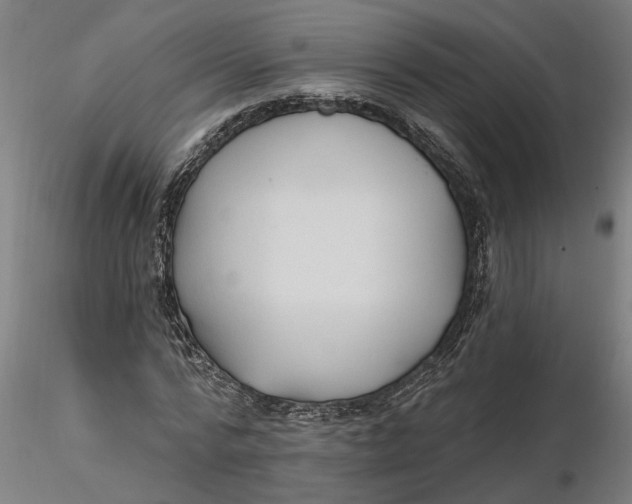 X0000116320776200912221358