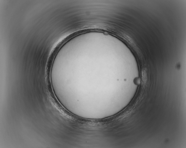 X0000116320780200912221358