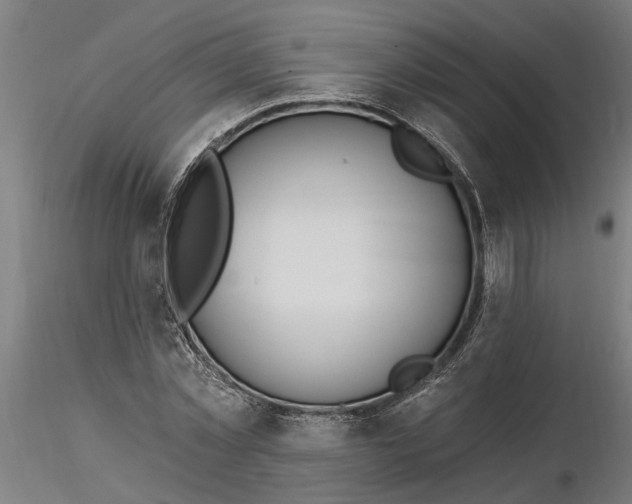 X0000116320781200912221358