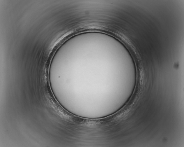 X0000116320782200912221358