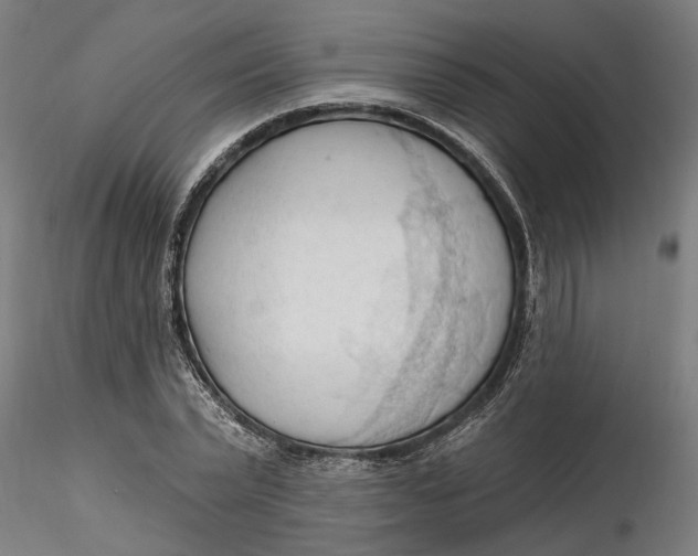 X0000116320783200912221358