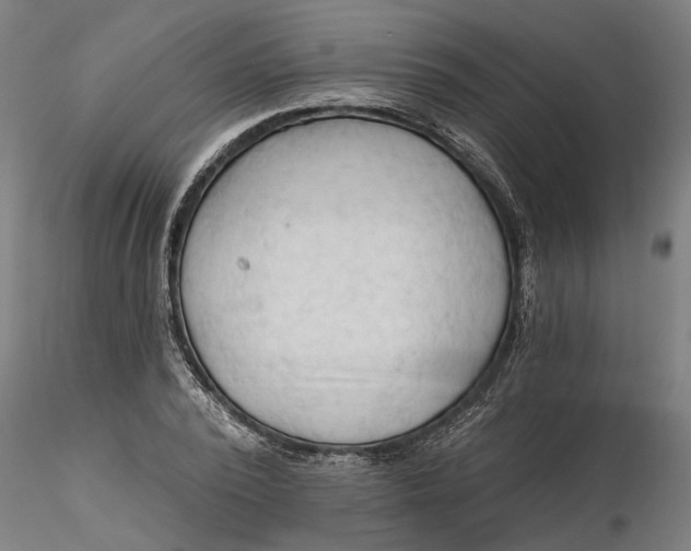 X0000116320784200912221358