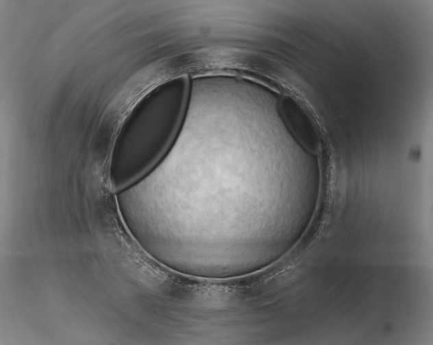 X0000116320785200912221358