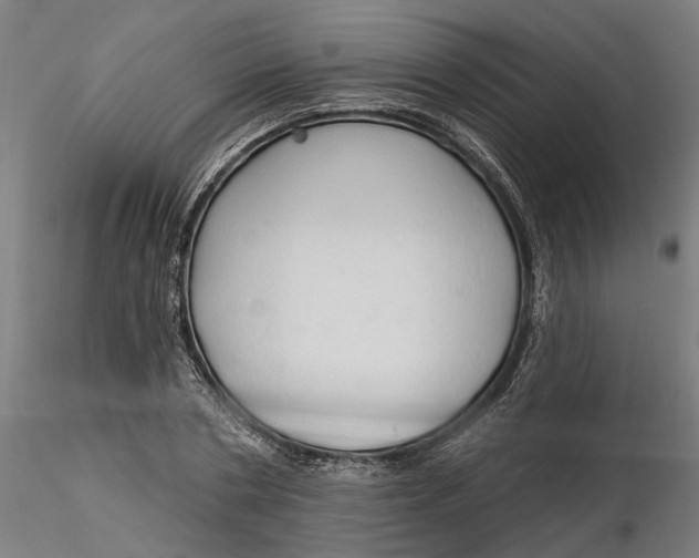 X0000116320786200912221358