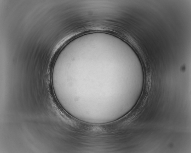 X0000116320787200912221358