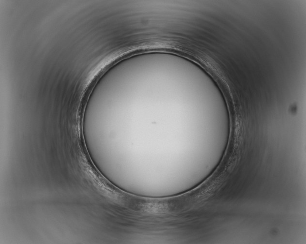 X0000116320789200912221358