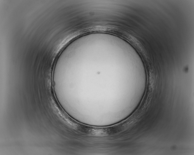 X0000116320794200912221358