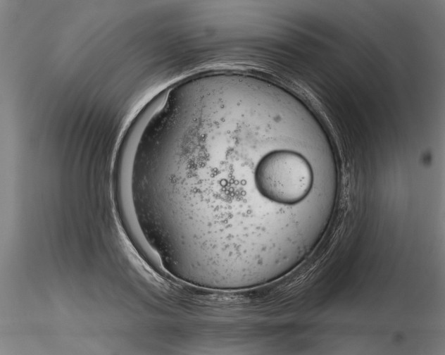 X0000116320795200912221358