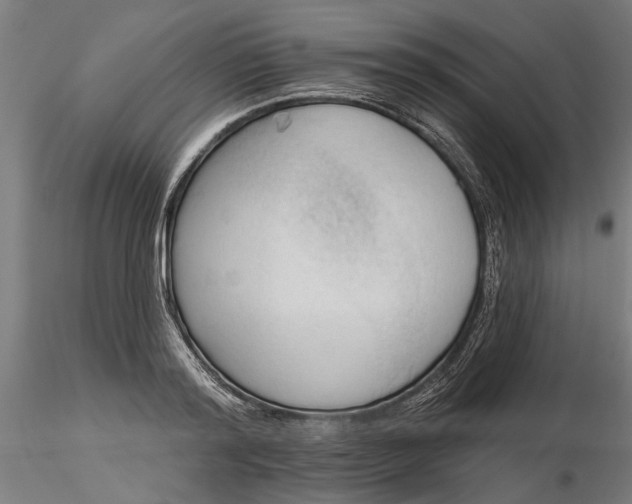 X0000116320796200912221358