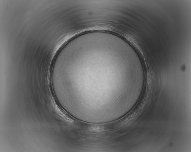 X0000116320797200912221358