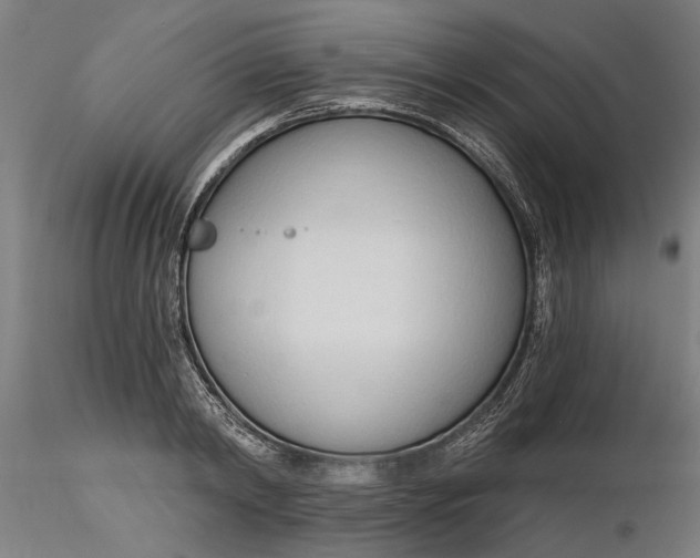 X0000116320798200912221358