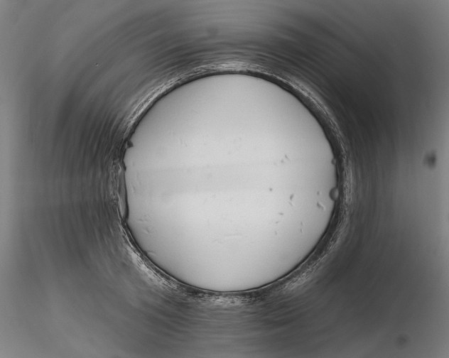 X0000116320801200912221358