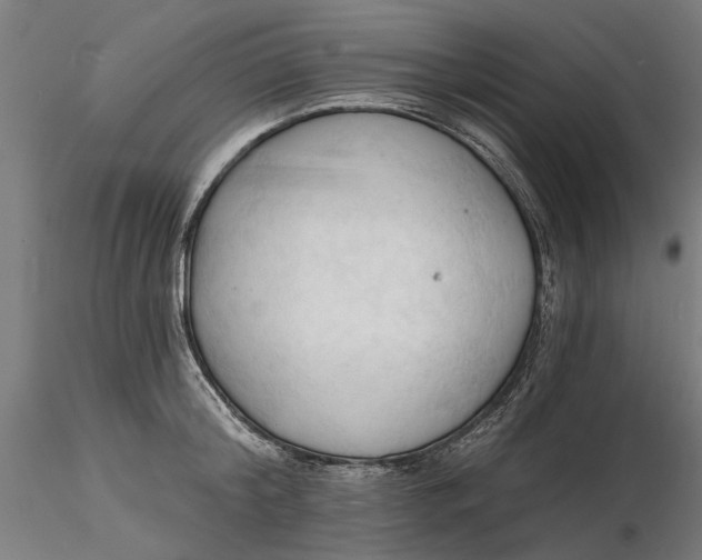 X0000116320804200912221358