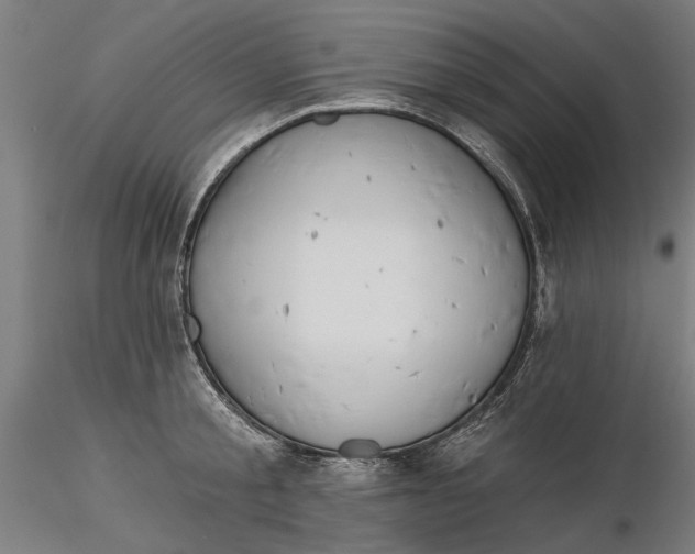 X0000116320805200912221358