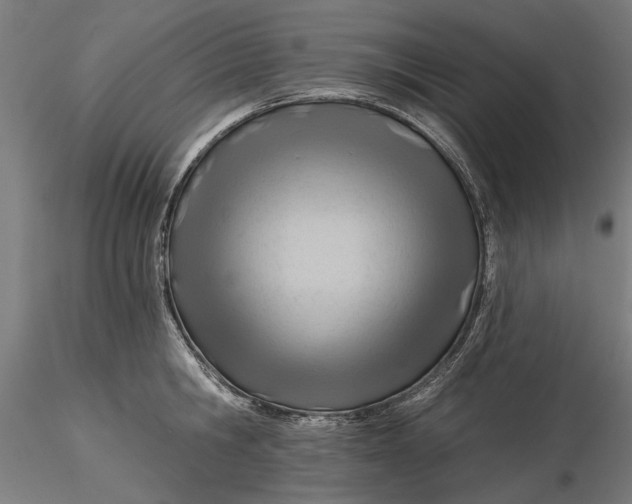 X0000116320806200912221358