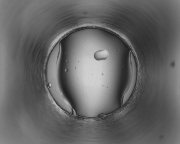 X0000116320807200912221358