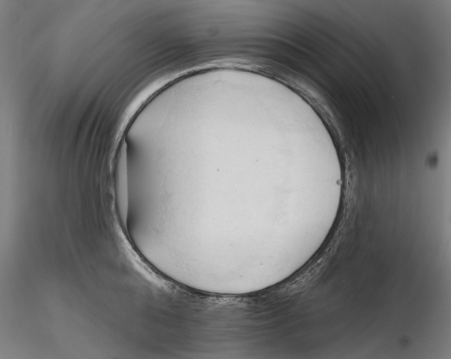 X0000116320808200912221357