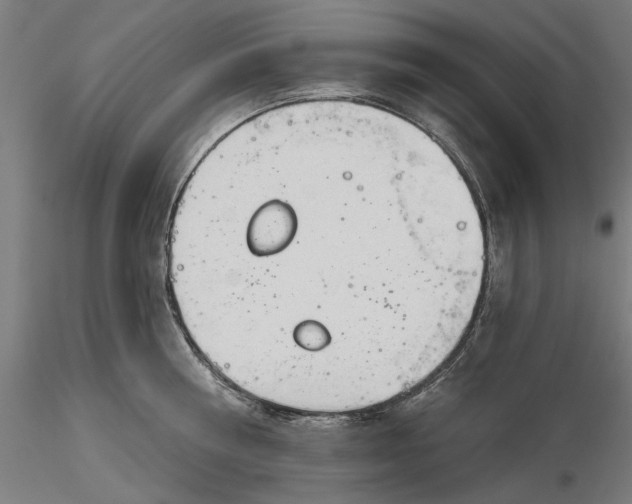 X0000116320810200912221357