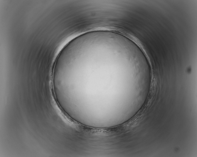 X0000116320811200912221357