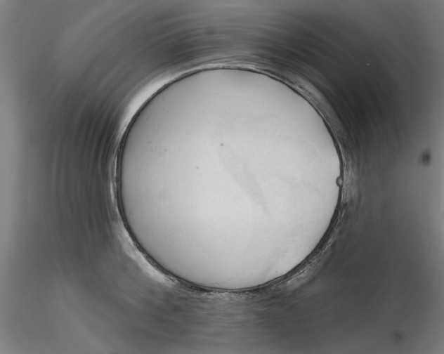 X0000116320812200912221357