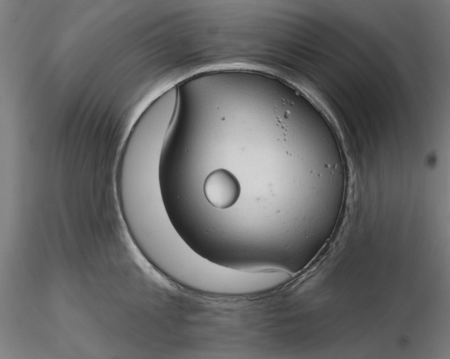 X0000116320813200912221357