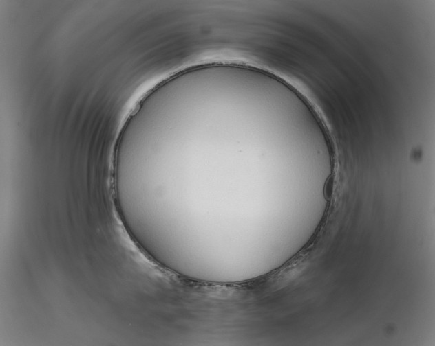 X0000116320815200912221357