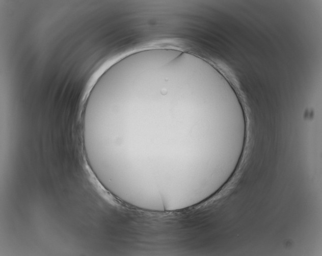 X0000116320816200912221357