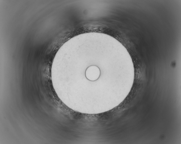 X0000116320820200912221357