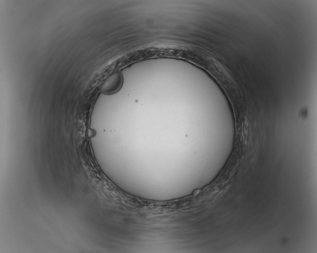 X0000116320821200912221357