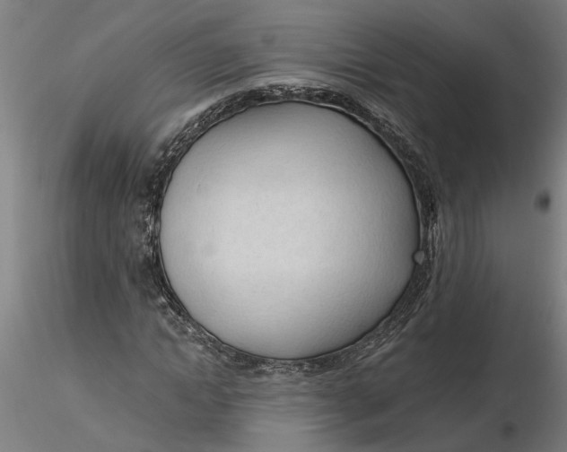 X0000116320822200912221357