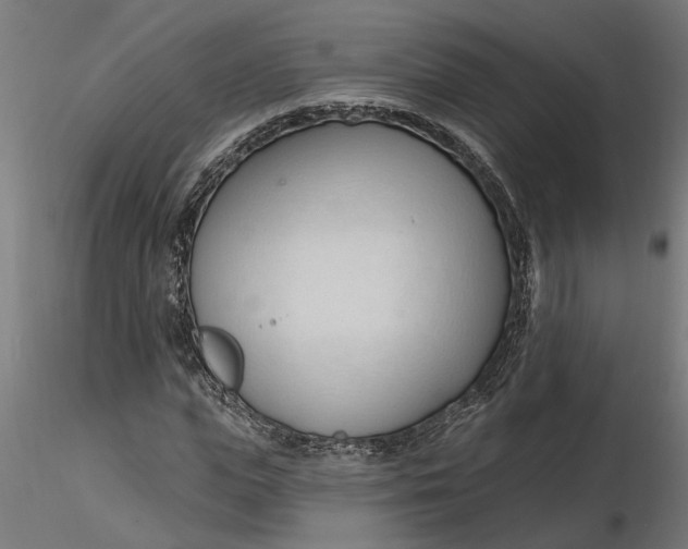 X0000116320823200912221357