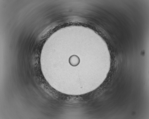 X0000116320824200912221357