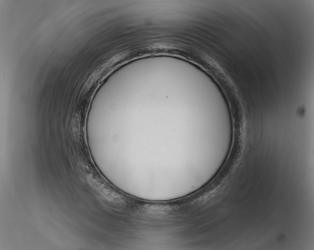 X0000116320825200912221357