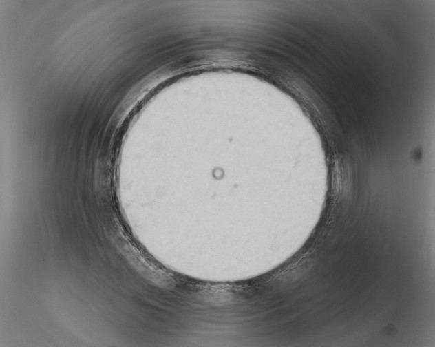 X0000116320828200912221357