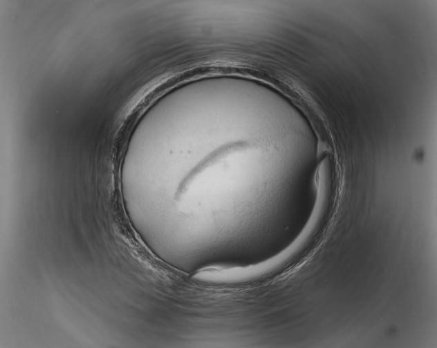 X0000116320829200912221357