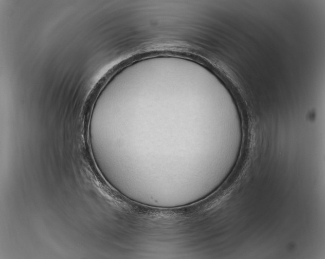 X0000116320830200912221357