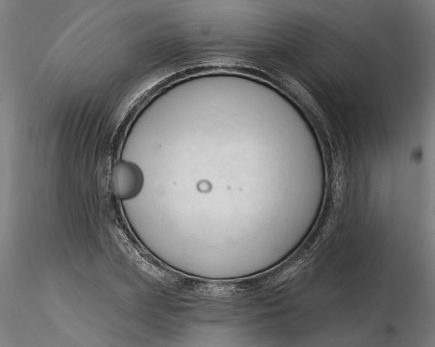 X0000116320831200912221357