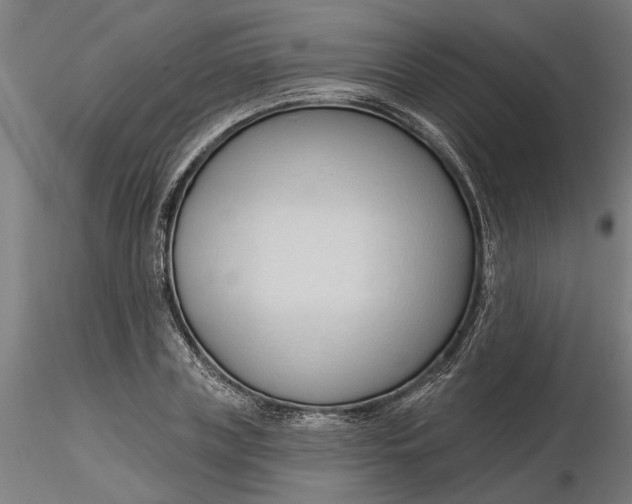 X0000116320835200912221357