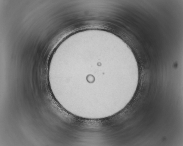 X0000116320836200912221357