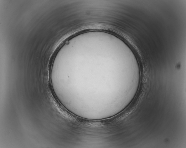 X0000116320837200912221357