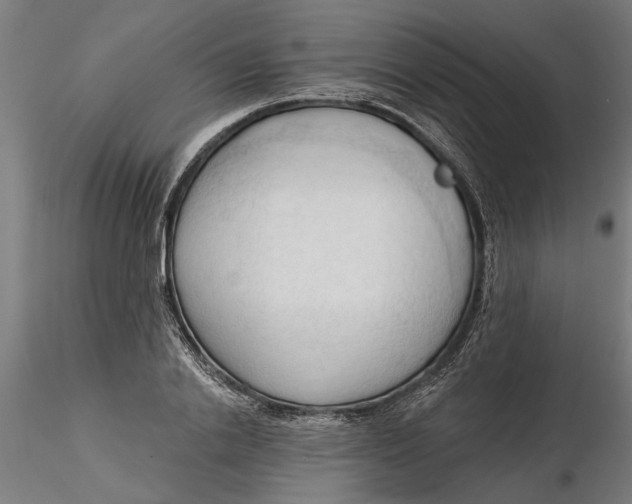 X0000116320838200912221357