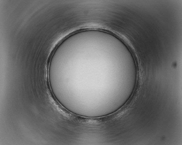 X0000116320839200912221357