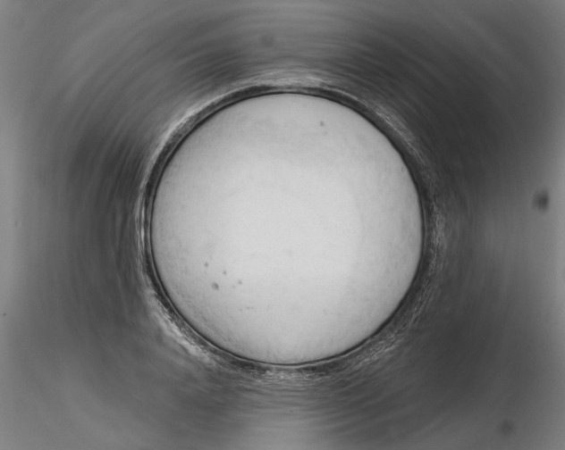 X0000116320840200912221357