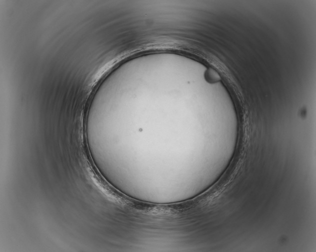 X0000116320842200912221357