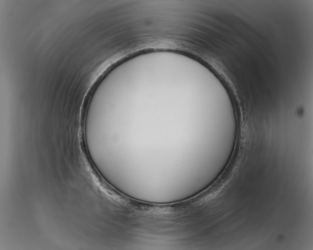 X0000116320845200912221357